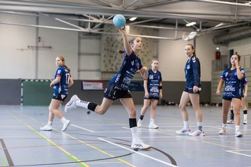 Bild 227 - wBJ HTS/BW96 Handball - Niendorfer TSV : Ergebnis: 27:27